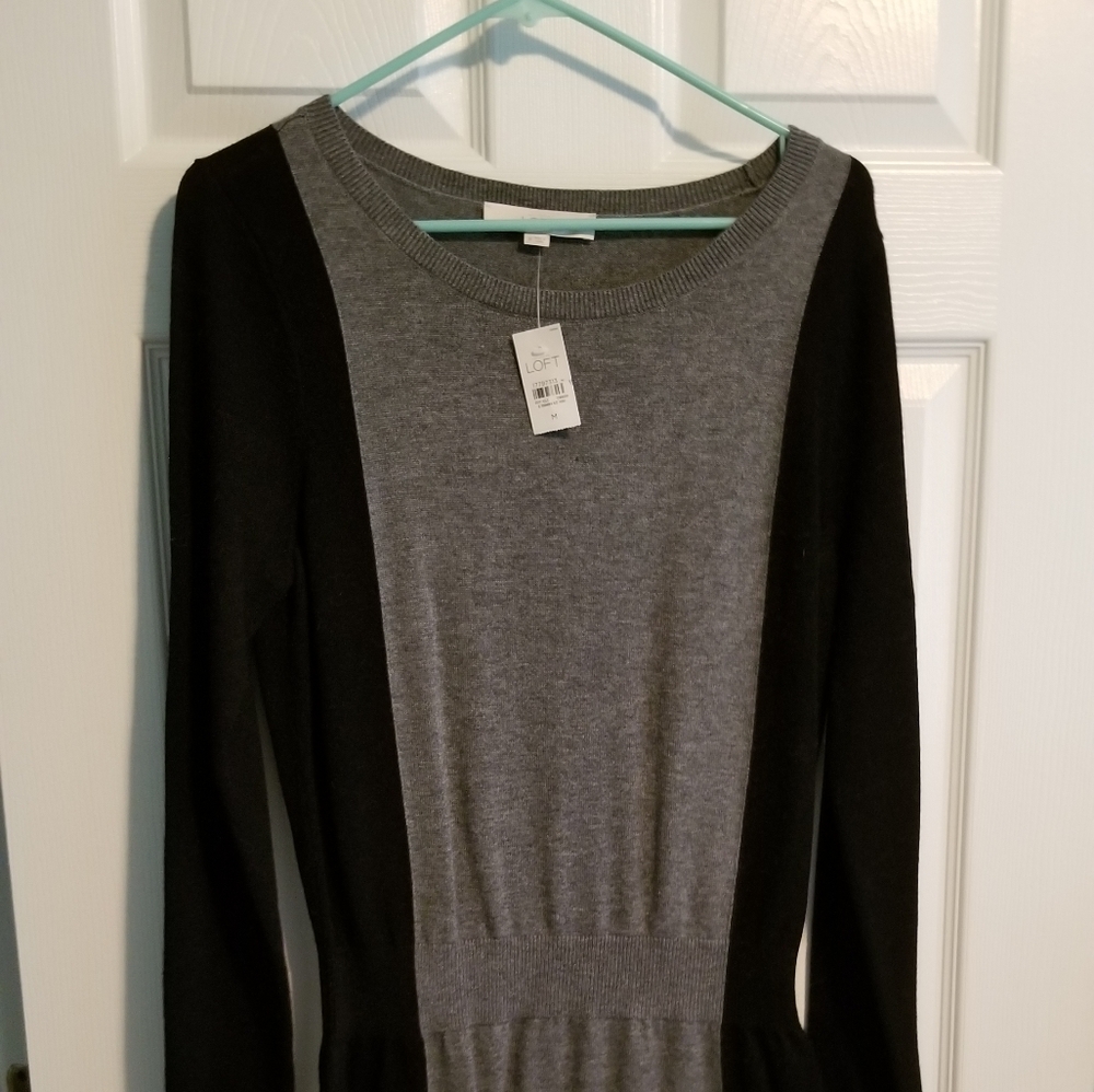 Loft sweater dress